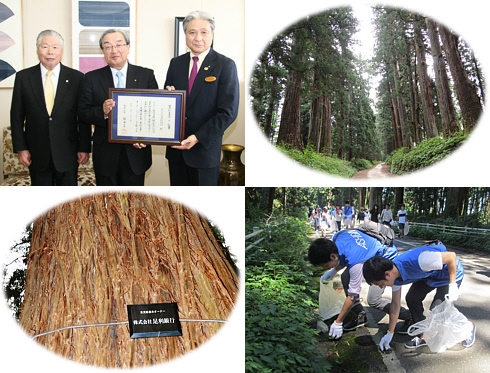 日光杉並木保護への取組み