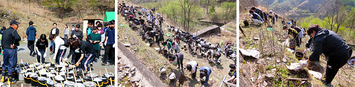 足尾での植樹活動の模様