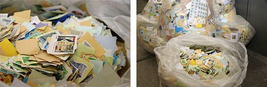 あしぎんＹＯＵ－Ｉ運動イメージ