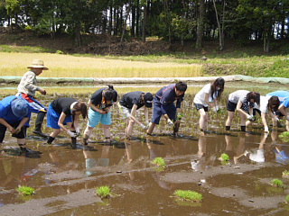 あしぎんＹＯＵ－Ｉ運動イメージ