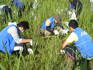 あしぎんＹＯＵ－Ｉ運動イメージ