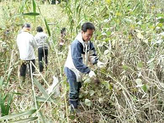 あしぎんＹＯＵ－Ｉ運動イメージ